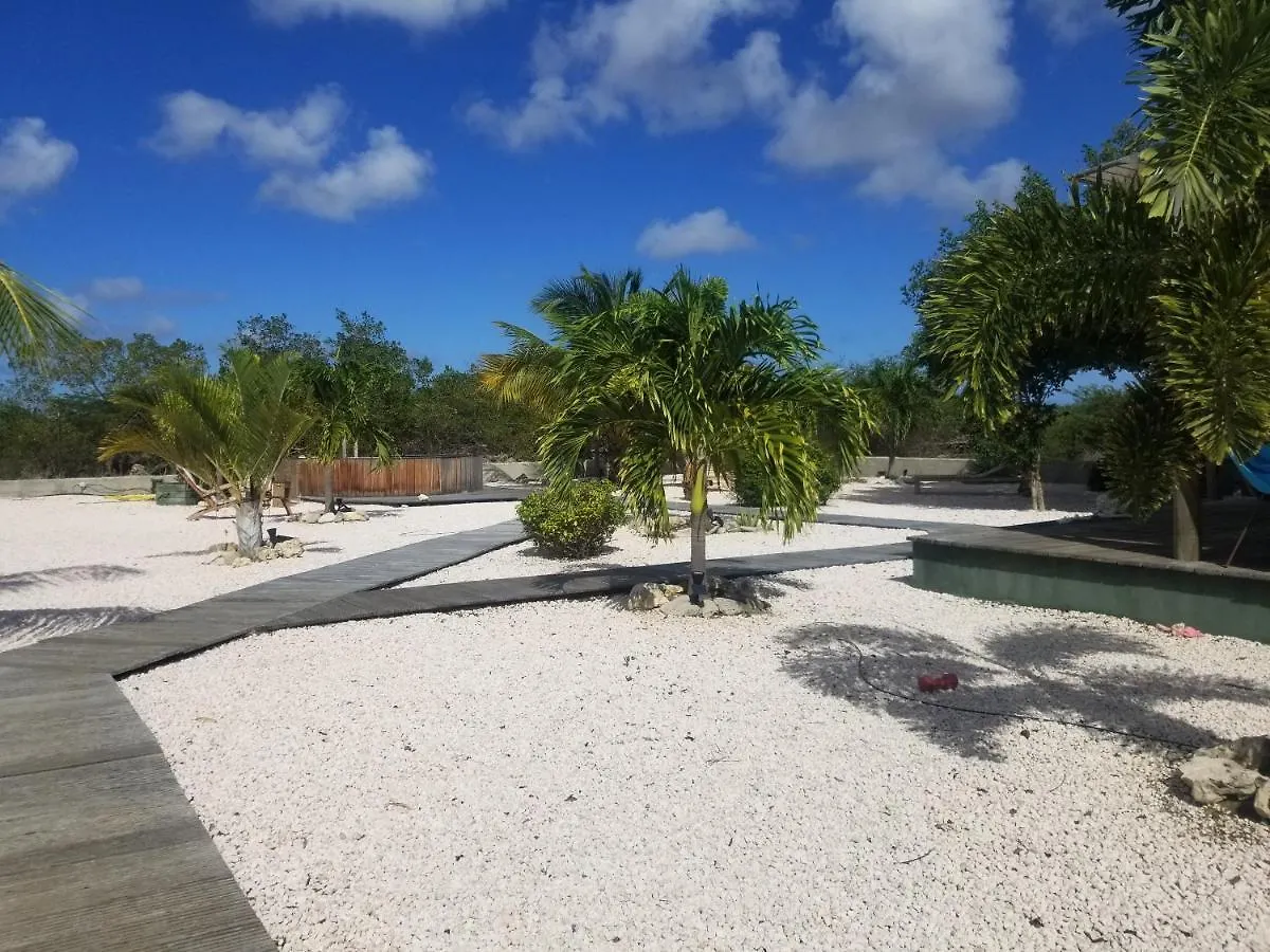 Kas Oleifi, Een Oase Van Rust Kralendijk  Bonaire, Saint Eustatius and Saba
